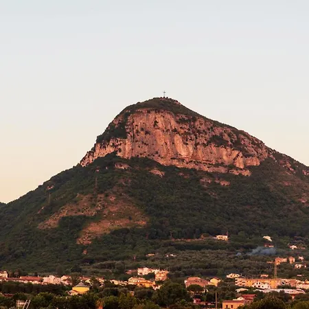 Apartment Sweet Emily